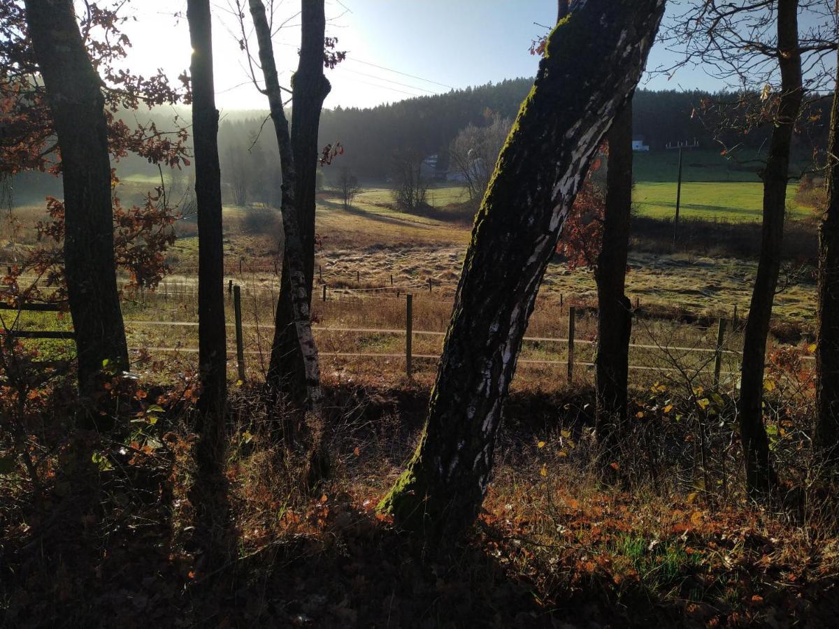 Cu-Ferienwohnungen - Nur Fuer Urlaubsgaeste Grafenwiesen Exterior photo